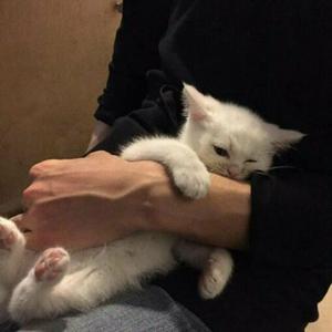 嗯⋯啊⋯在温泉做h爱
